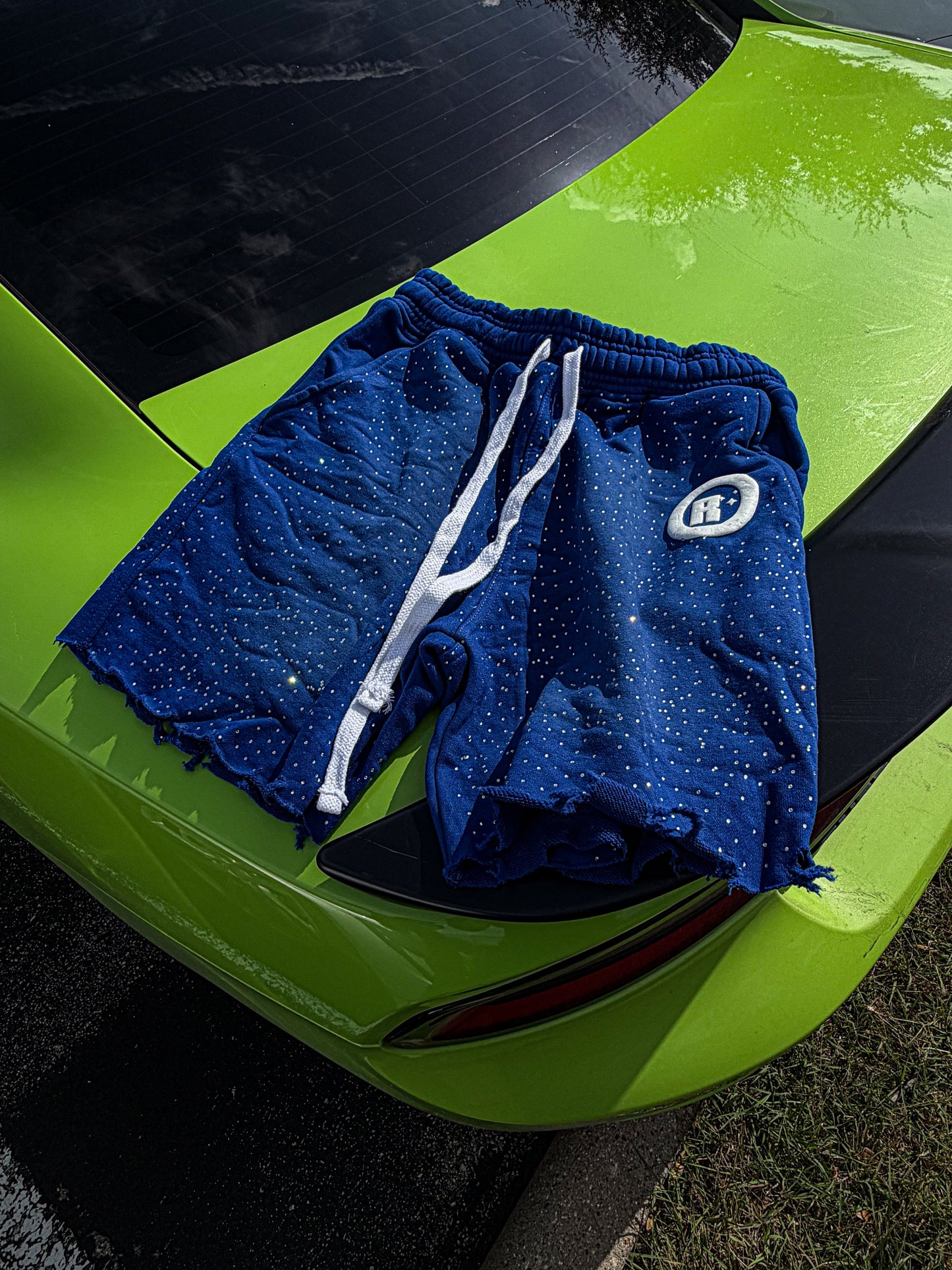 ‘blueberry’ shorts